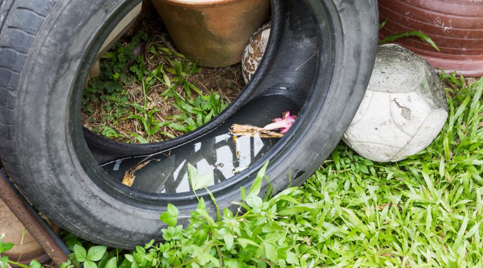 Pneu continua sendo um dos responsáveis pela Dengue no Brasil?